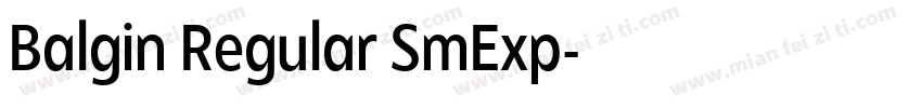 Balgin Regular SmExp字体转换